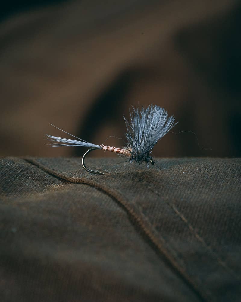 Rene Harrop's CDC Thorax - Hendrickson