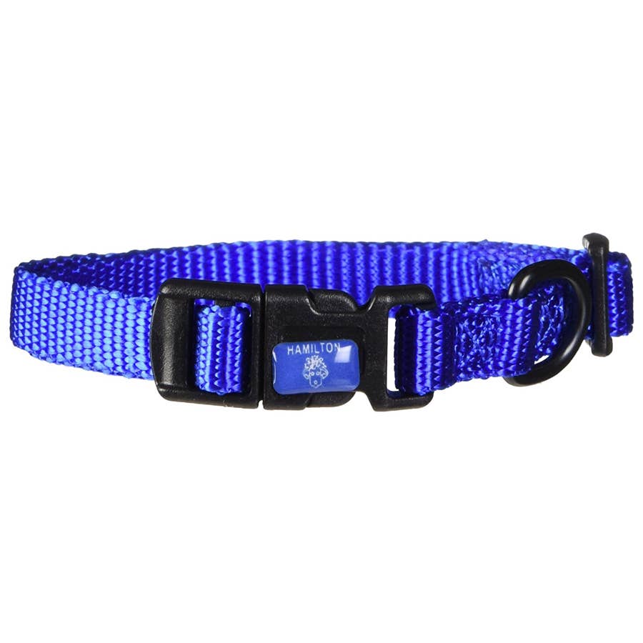 Hamilton Adjustable Dog Collar