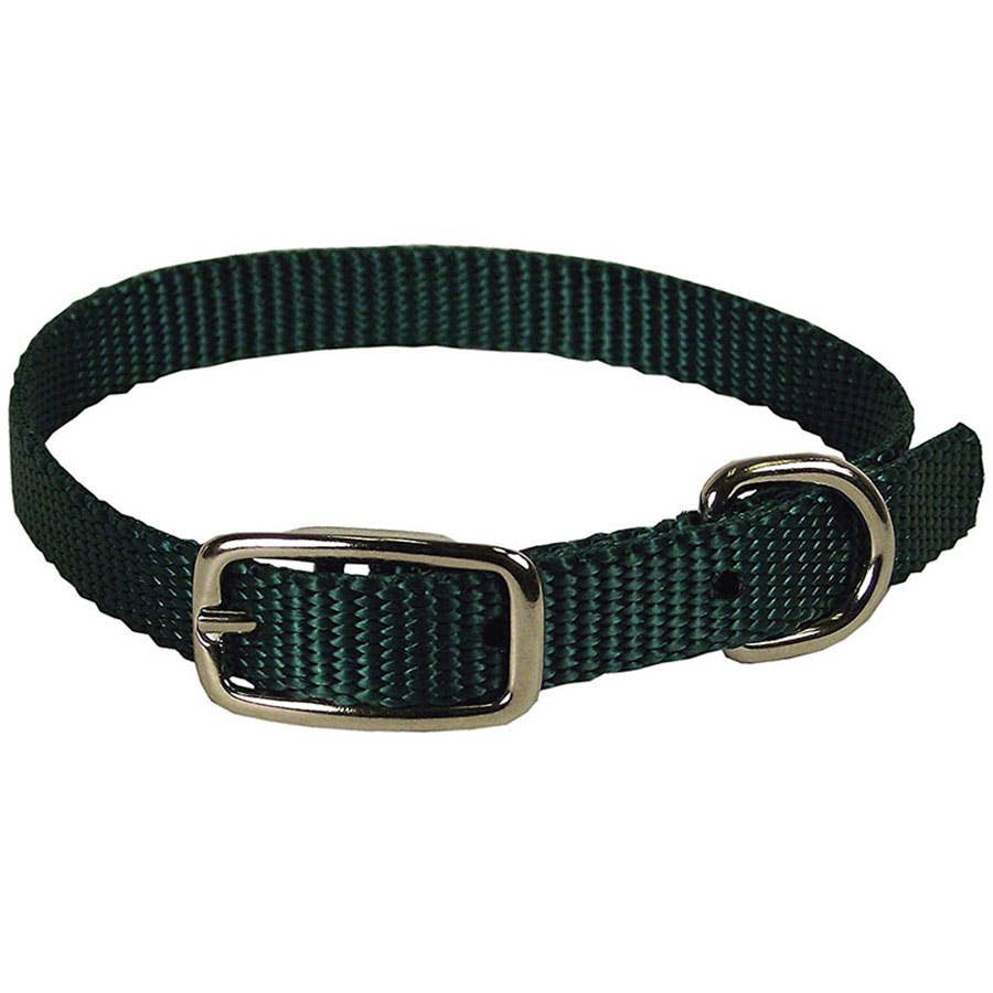 Hamilton Single Thick Nylon Deluxe Dog Collar