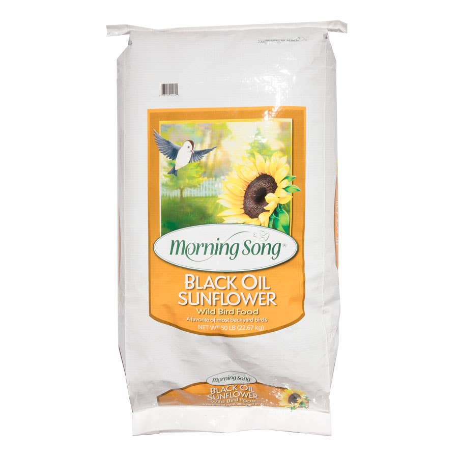 Morning Song Black Oil Sunflower Bird Seed