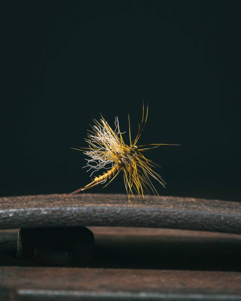 Nymph Patterns for Fly Fishing - The Fly Project | Category