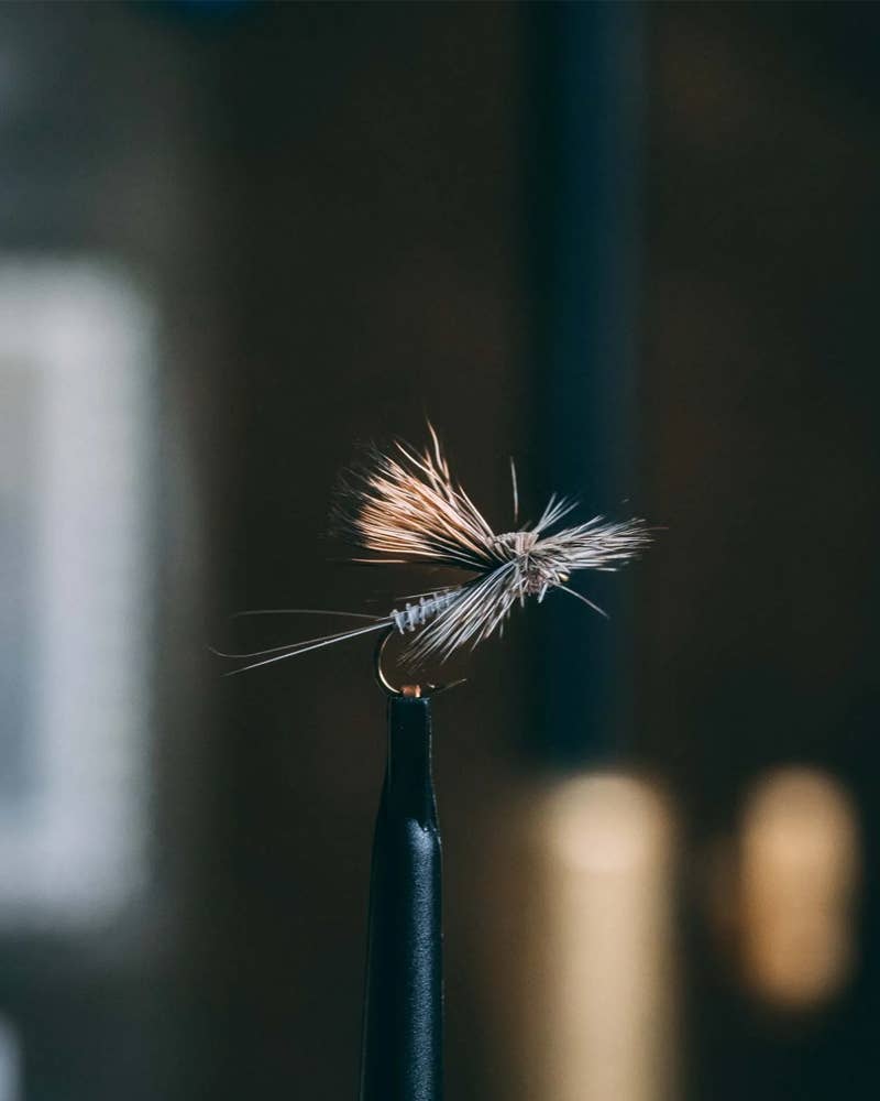 Kelly Galloup's Tilt Wing