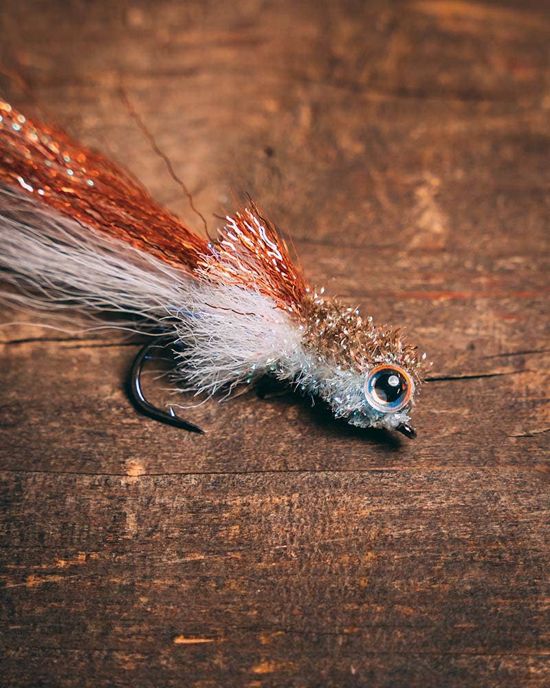 Rattling Murdich Minnow