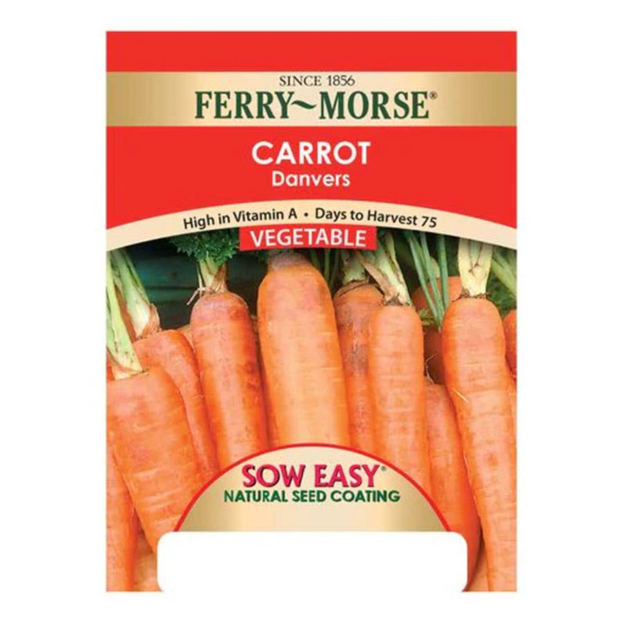 FerryMorse Carrot Danvers