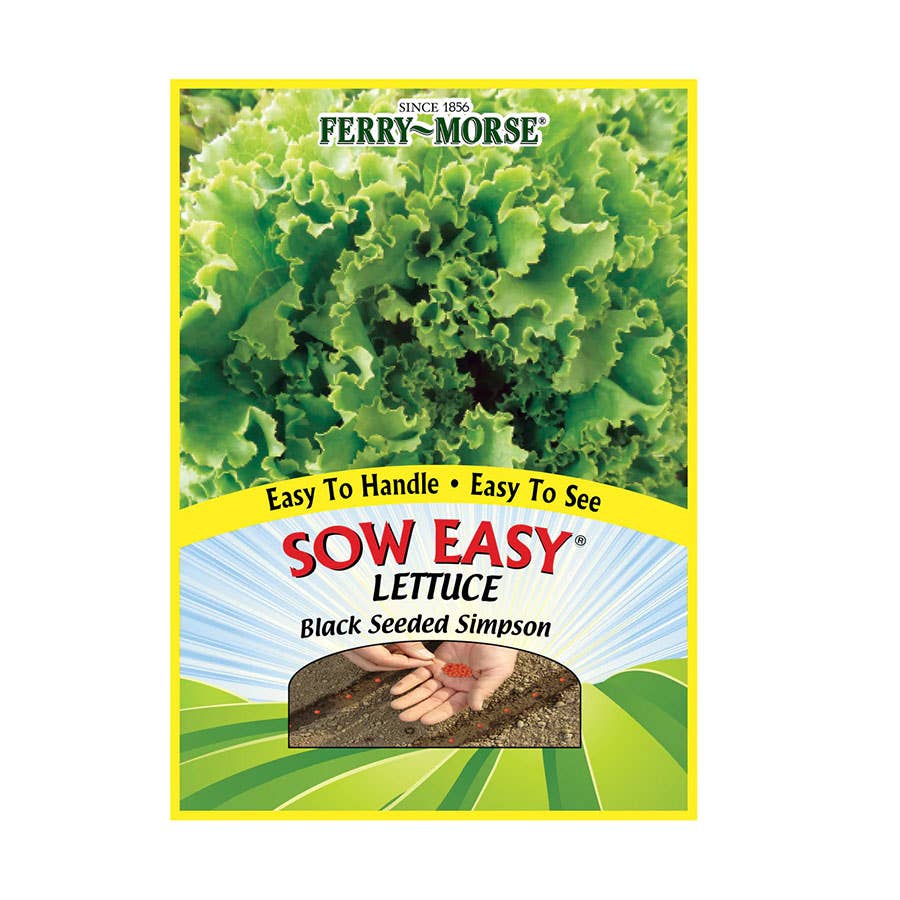 FerryMorse Lettuce Black Seeded Simpson