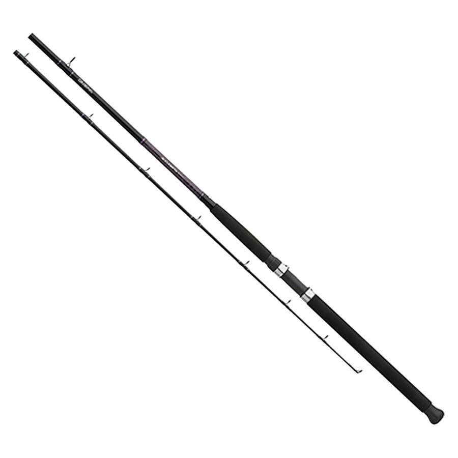 Daiwa Beefstick Surf Spinning Rod