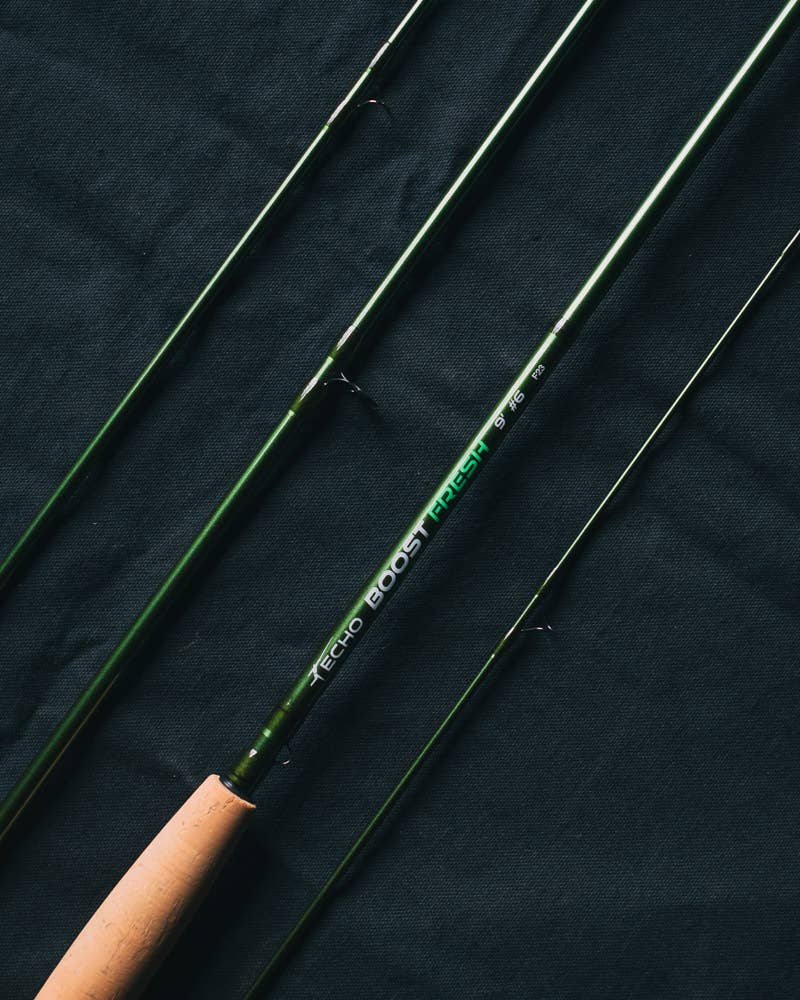 Echo 84B - 8'4