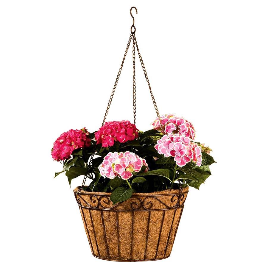 Deer Park Ironworks Imperial Hanging Basket
