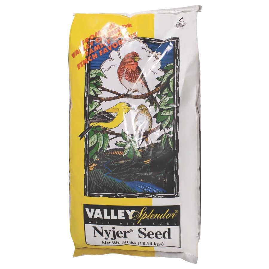 Valley Splendor Nyjer Wild Bird Seed 40 lb