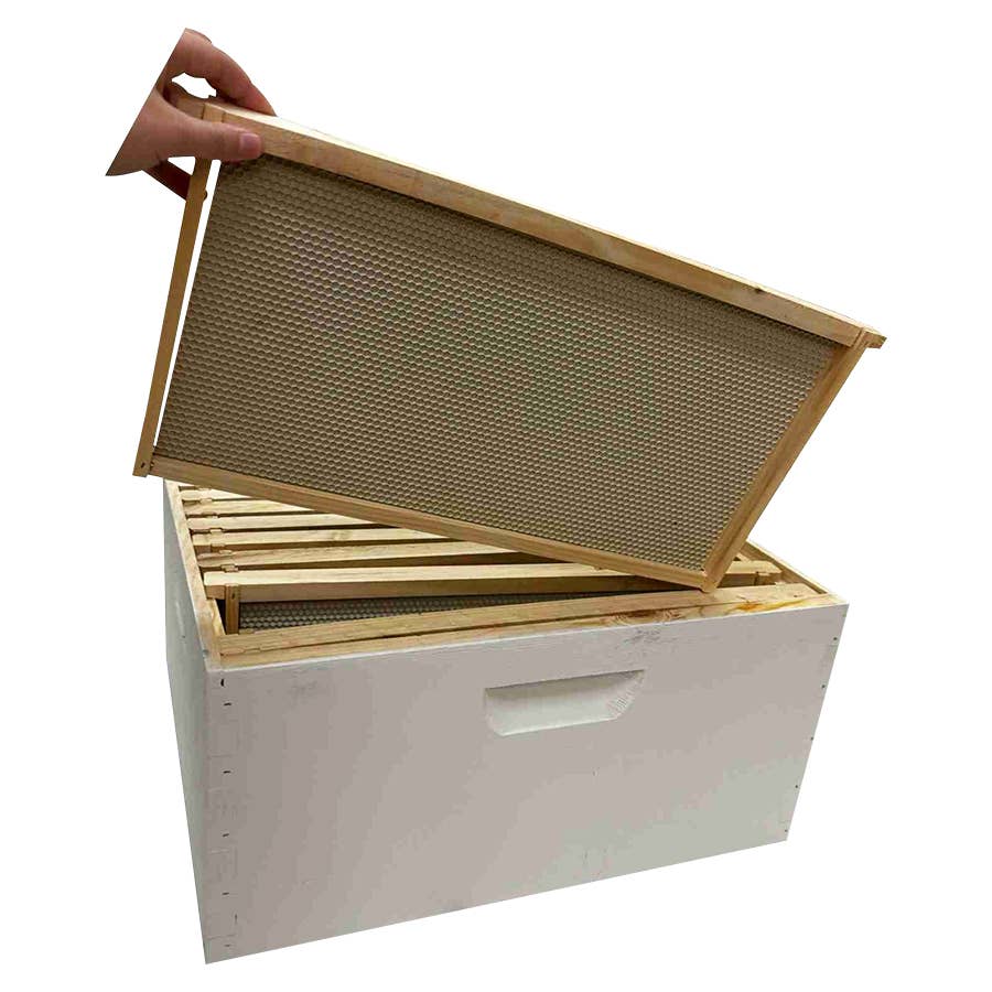 Harvest Lane Honey Deep Box Combo Painted & Assembled