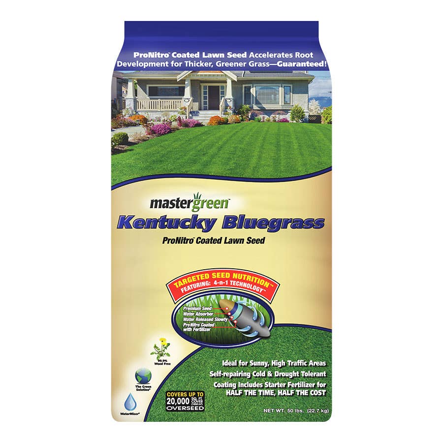 Mastergreen Kentucky Bluegrass Grass Seed 50 lb