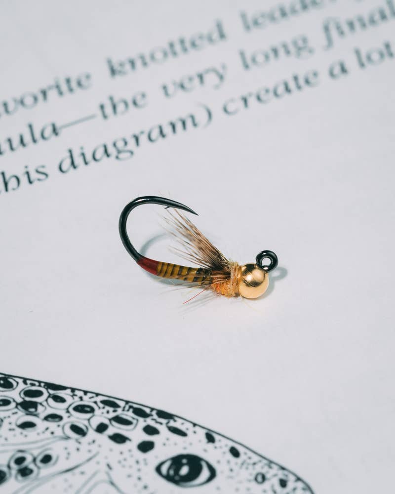 Nymph Patterns for Fly Fishing - The Fly Project | Price: $0.00