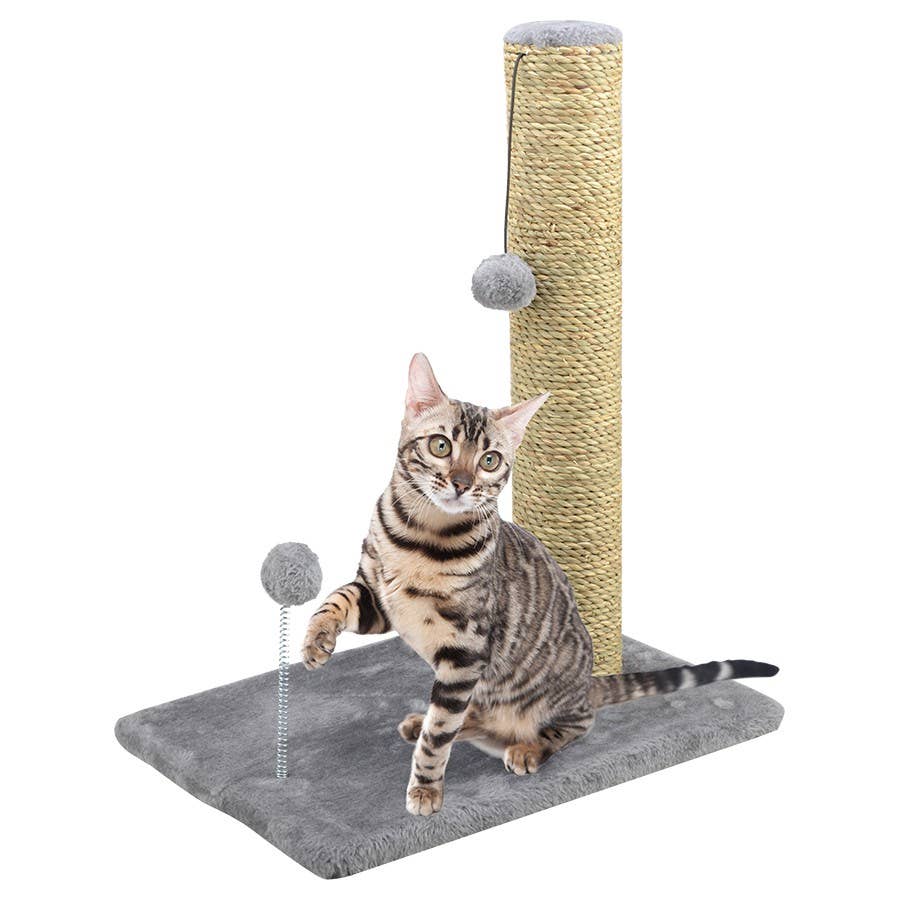 cat scratcher post replacement 2 Pack Replacement Sisal Scratching Posts for Go Pet | Yaheetech | Trixie |  Jump | Tiger Tough | Catry