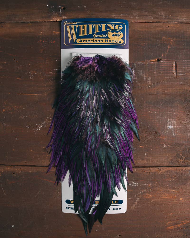 BA_tfp_whiting_farms_american_