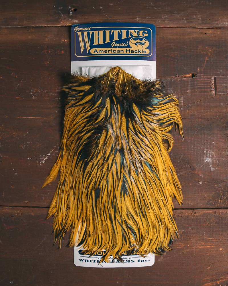 フライマテリアル ハックルWhiting Rooster Saddle Cree Whiting American Rooster Saddle – Waters West Fly Fishing