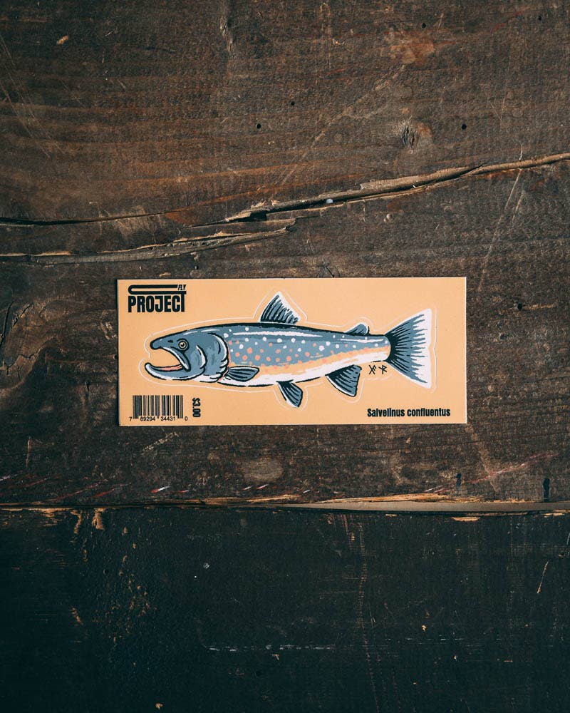Fly Project Bull Trout Sticker