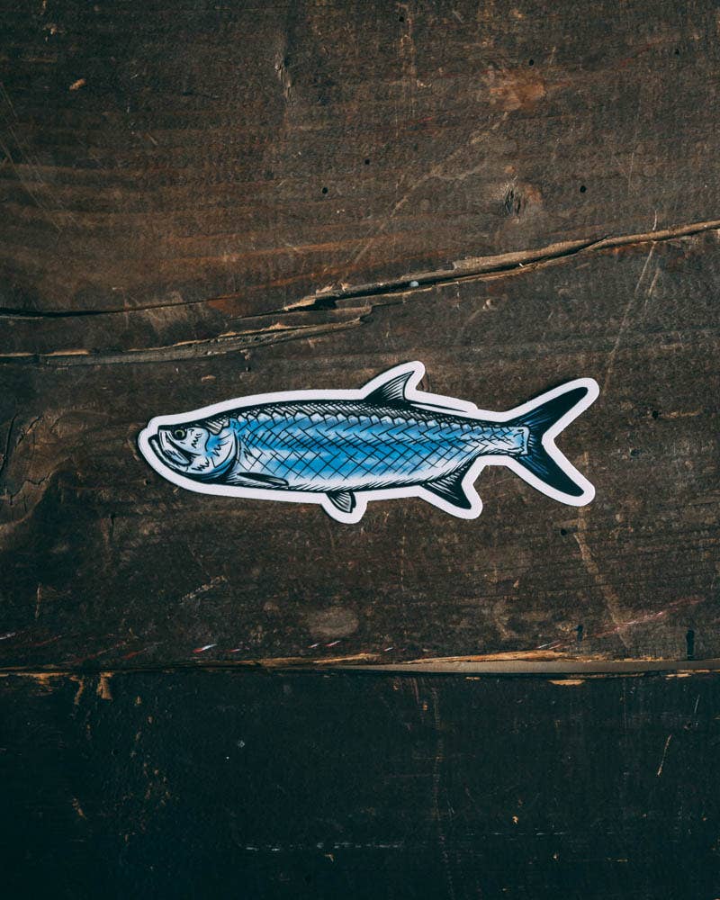 Jaybo Art Tarpon Drawing Decal