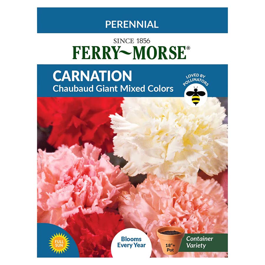 FerryMorse Carnation Seeds