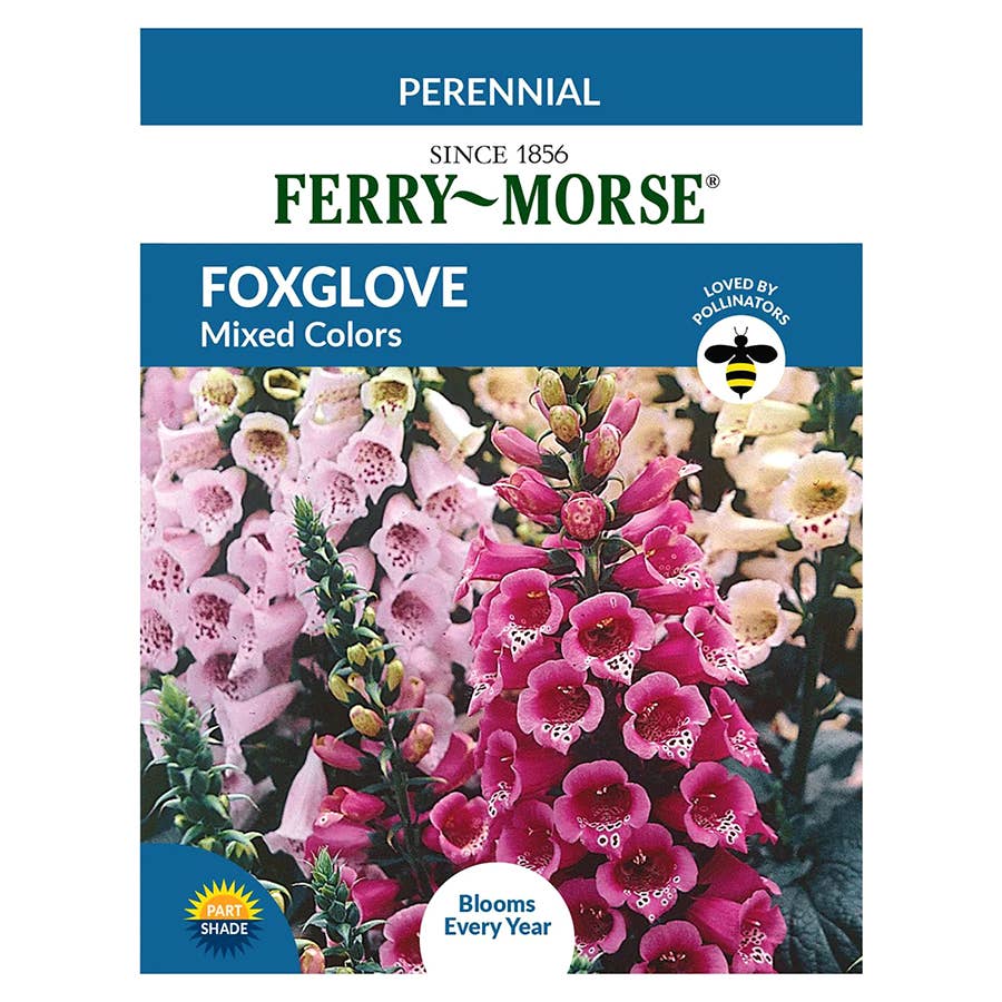Ferry-Morse Foxglove Seeds