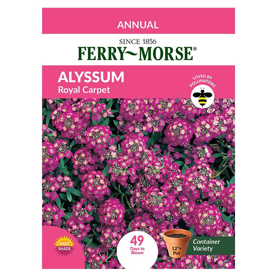 Ferry-Morse Alyssum Seeds - Thumbnail 2
