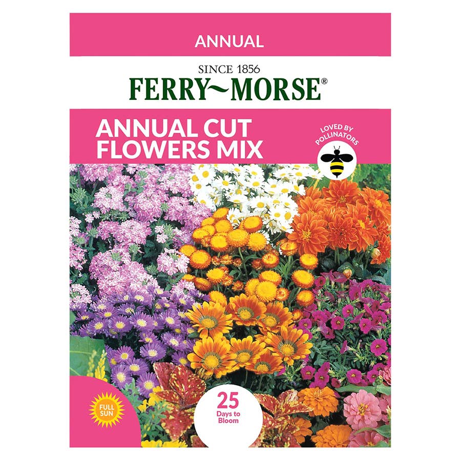 wildflower mixed seeds Colorscape Garden Flower Seed Mix 500 Seeds