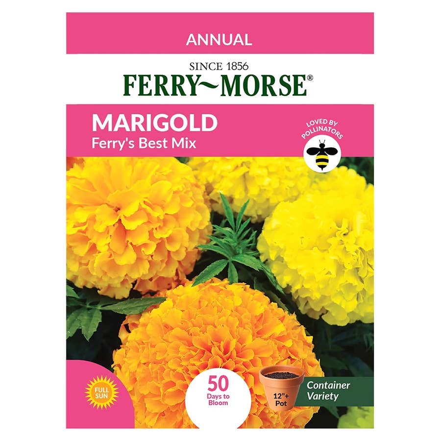 FerryMorse Marigold Seeds