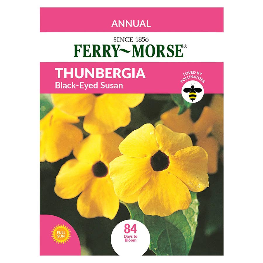 FerryMorse Thunbergia Seeds