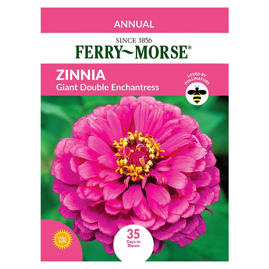 Ferry-Morse Zinnia Seeds
