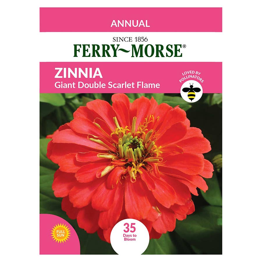 BA_ferrymorse_zinnia_seeds_gia