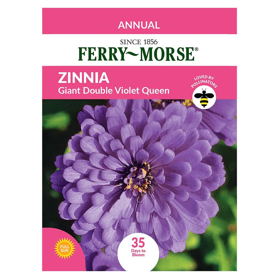Ferry-Morse Zinnia Seeds