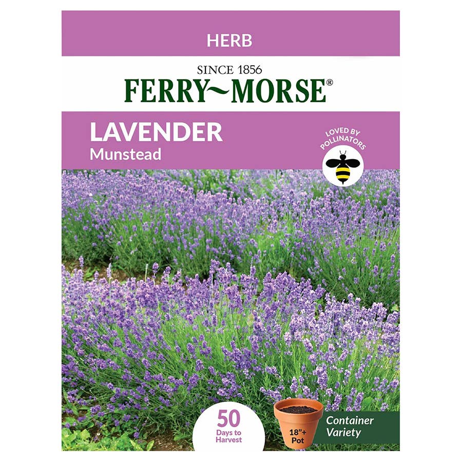 FerryMorse Lavender Seeds