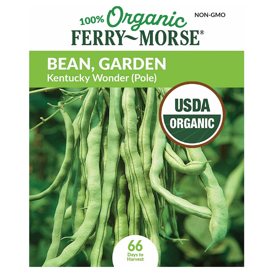 BA_ferrymorse_bean_seeds_kentu