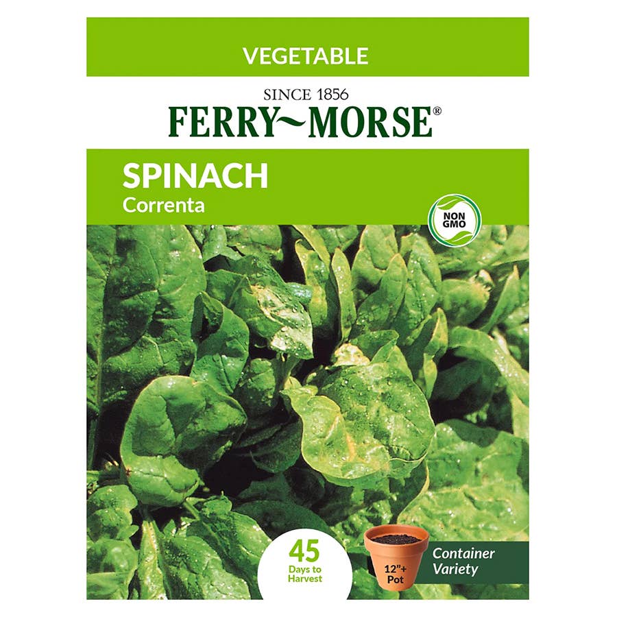 FerryMorse Spinach Seeds