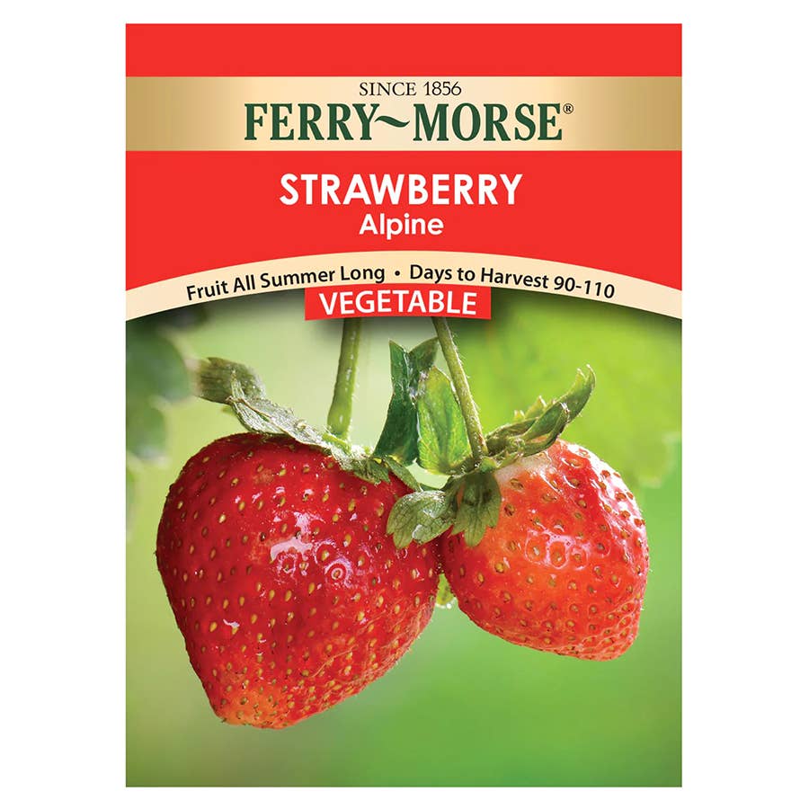 Ferry-Morse Strawberry Seeds - Alpine
