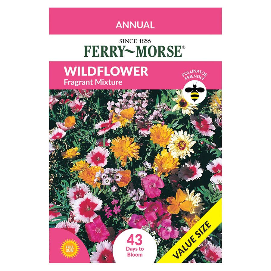 Ferry-Morse Wildflower Seeds - Hummingbird Mix