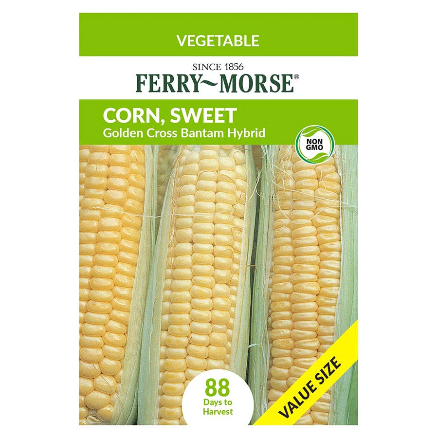 コドリア メセカセット Ferry-Morse Sweet Corn Seeds