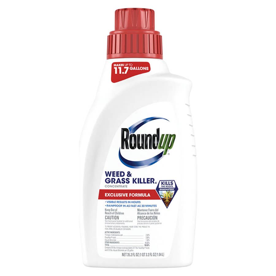 Roundup Concentrate Plus Weed and Grass Killer