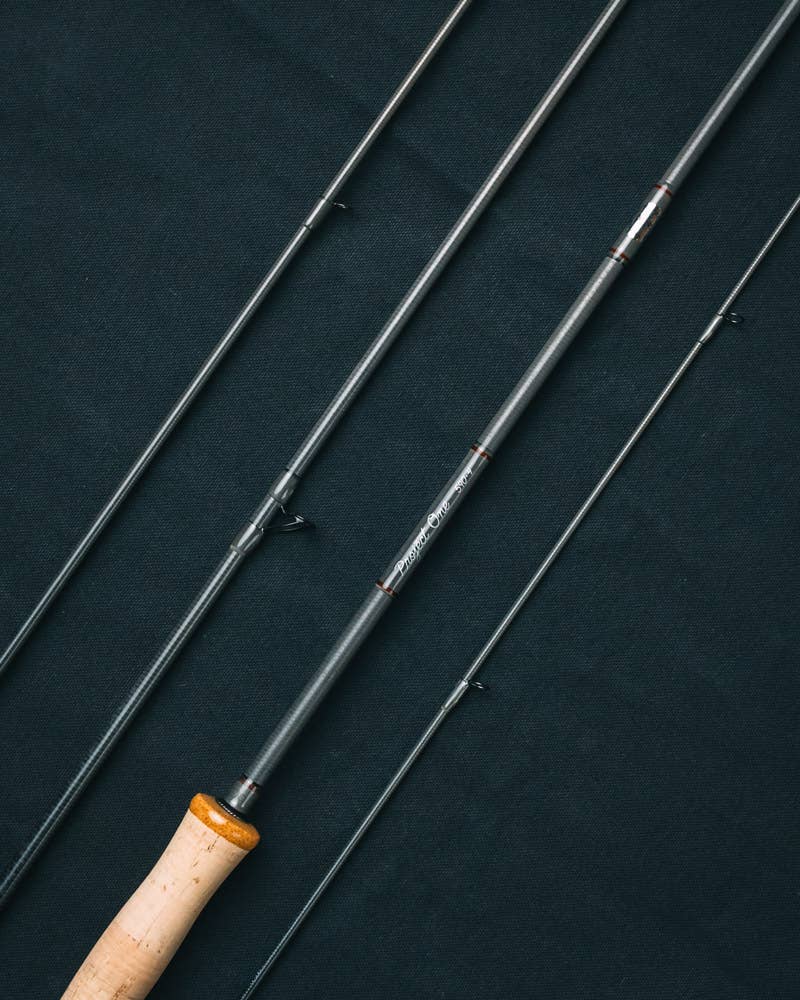 BA_tfp_fly_project_project_one