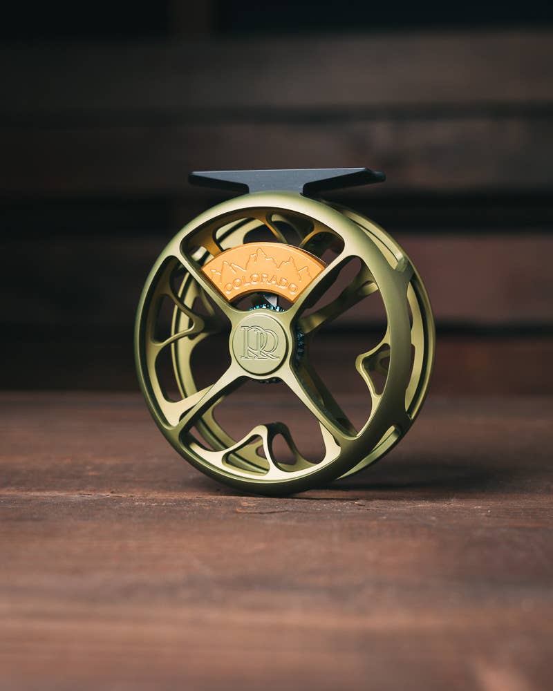 best saltwater spinning reel for braid Top 10 Best Inshore Saltwater Spinning Reels  Tight Lines and High Tides