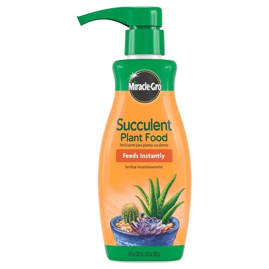 Miracle-Gro Succulent Plant Food | 8 oz