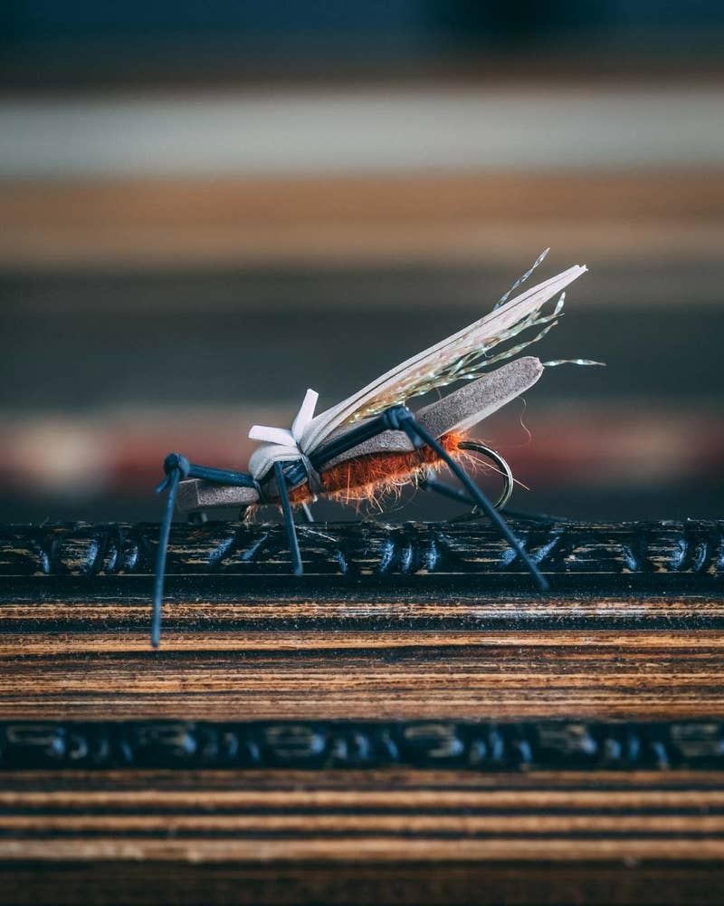 Waterwalker - Salmonfly - 6