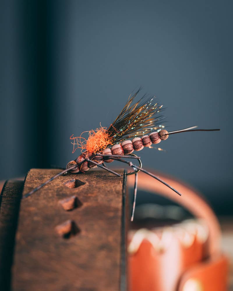 Fluttering Stone - Salmonfly - 6