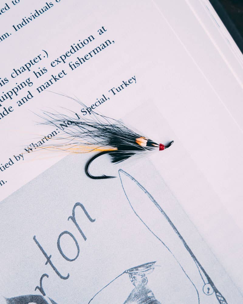Kenzie Kozera's Oyster Catcher
