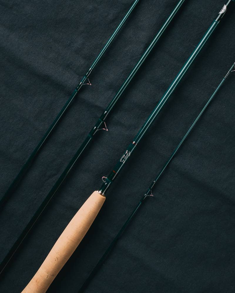 BA_tfp_winston_pure_2__2801810