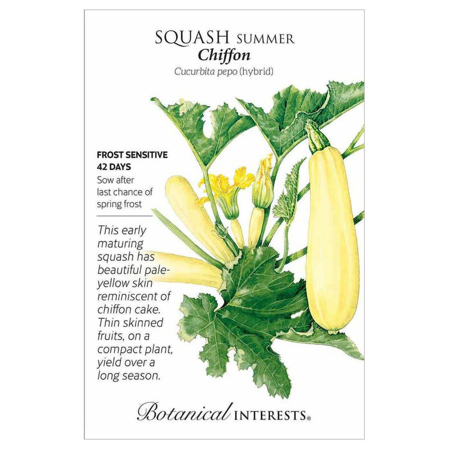 Botanical Interests Chiffon Summer Squash Seeds