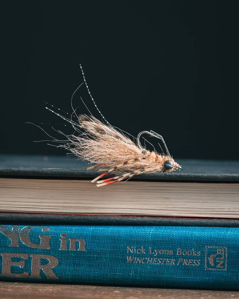 Charlie Craven S Ragin Craven