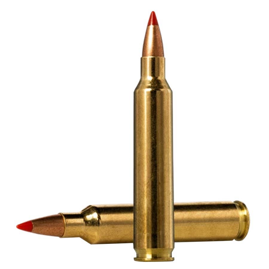 Norma Hornady V-Max .204 Ruger Rifle Ammunition
