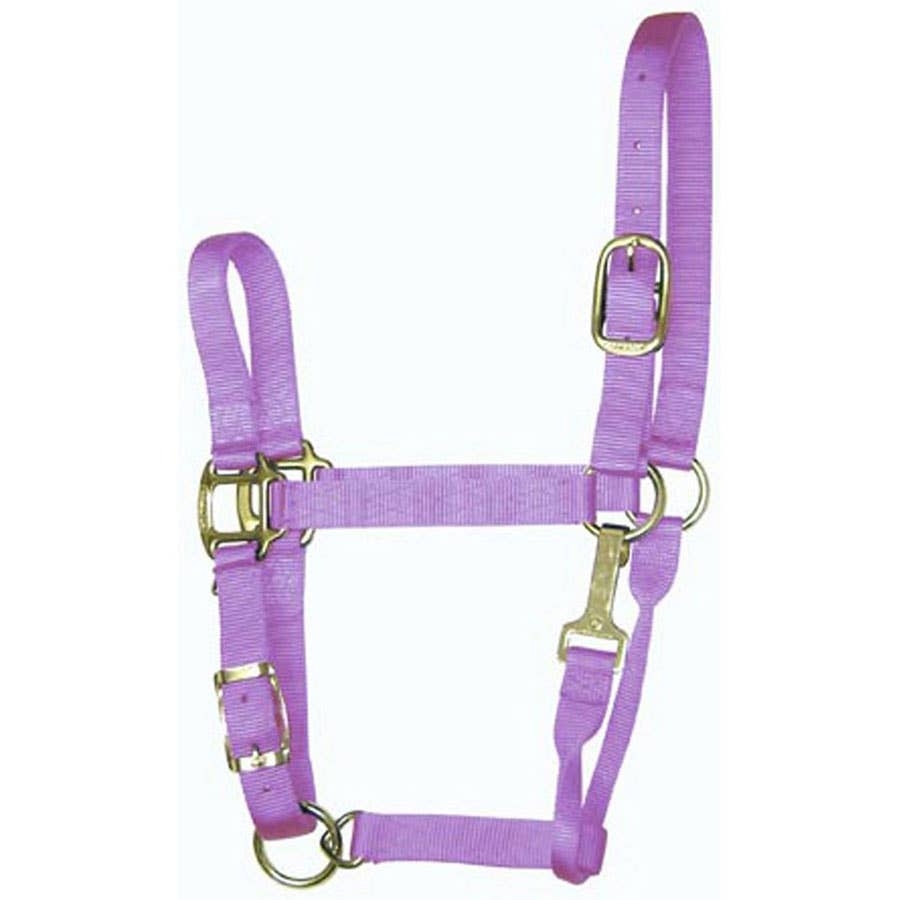 Hamilton Sheep Halter with Adjustable Chin Strap 3//4-Inch Black