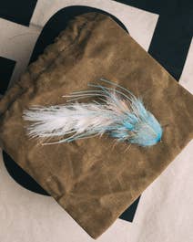 Jeremy Clapp's Leggy Boi