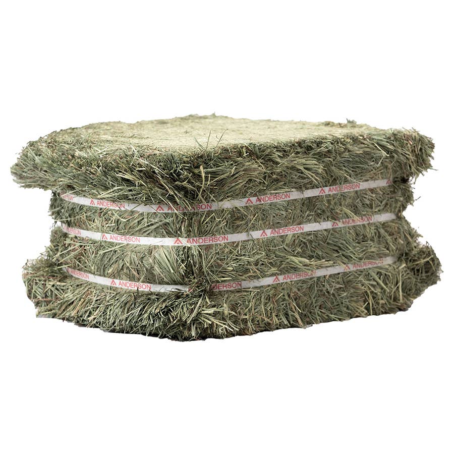 Couverture mouton Weaver Leather Livestock ProCoolMesh avec tuyauterie réfléchis Couverture mouton Weaver Leather Livestock ProCoolMesh avec tuyauterie réfléchis